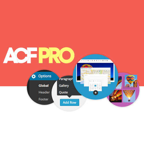 Advanced Custom Fields Pro (ACF)